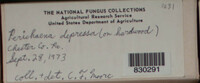 Image Associated With the Occurence